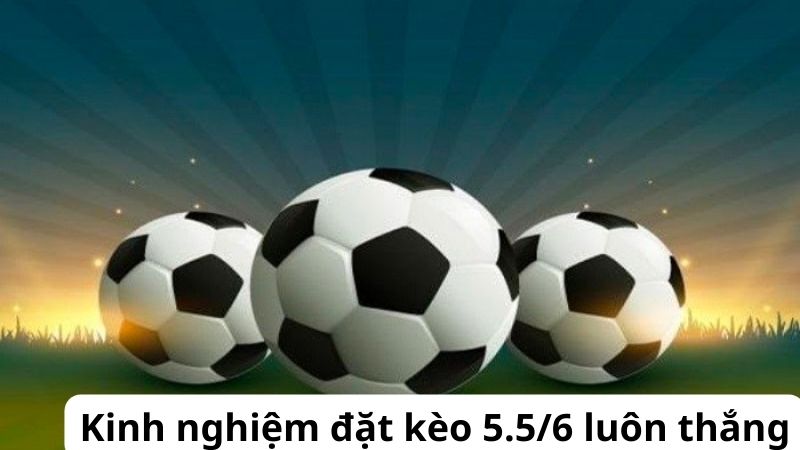 Kèo 5.5/6 là gì? Các tips đặt cược kèo 5.5/6 thắng lớn